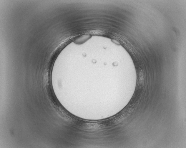 X0000115500351200912181429