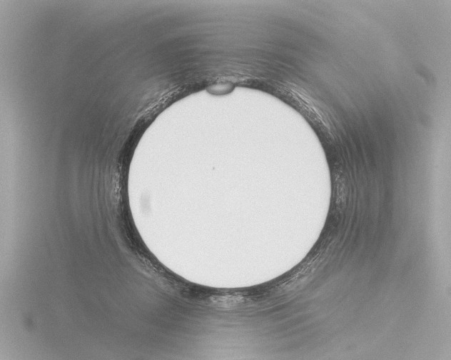 X0000115500362200912181429