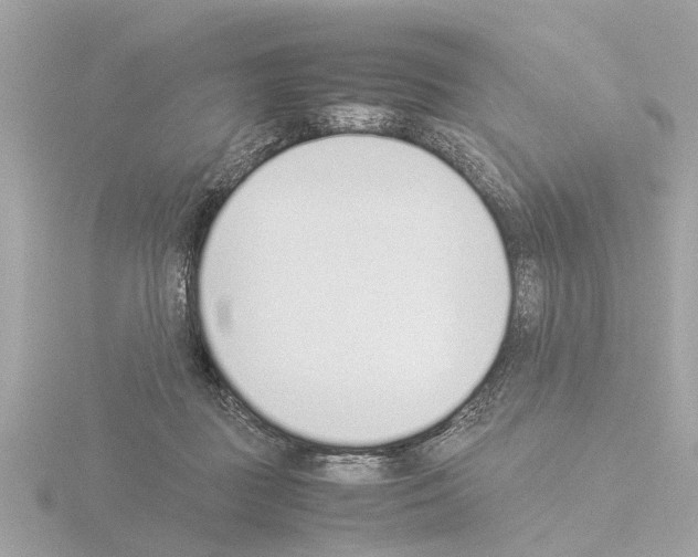 X0000115500363200912181429