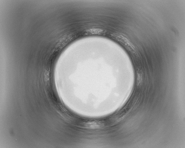 X0000115500365200912181429