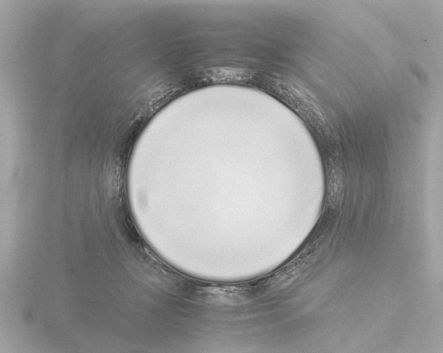 X0000115500367200912181429