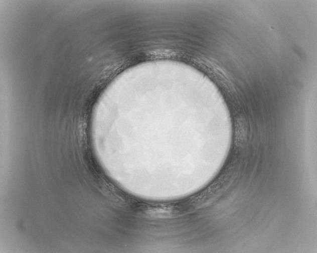 X0000115500369200912181429
