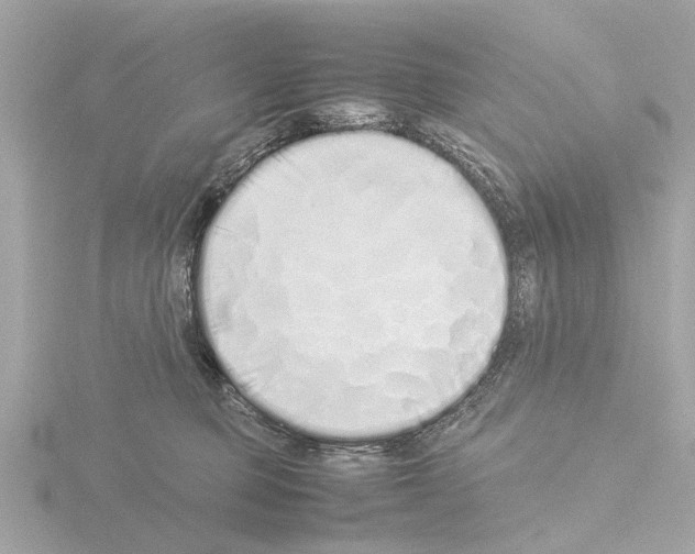 X0000115500373200912181429