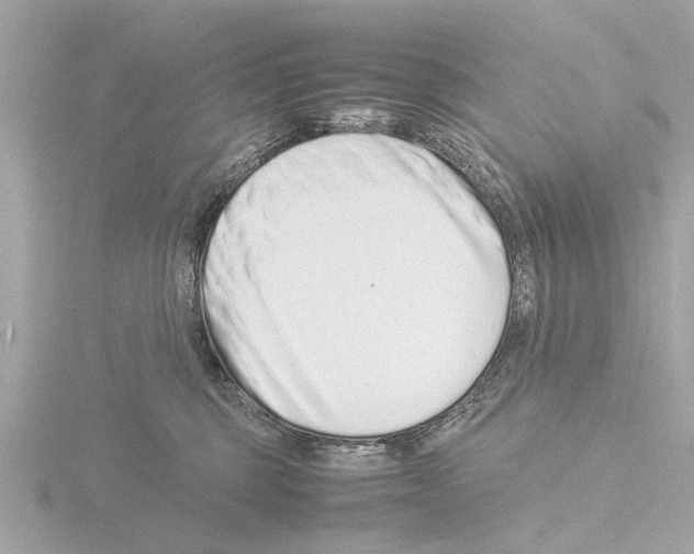 X0000115500375200912181429