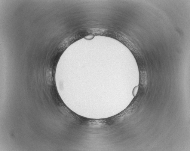 X0000115500378200912181429