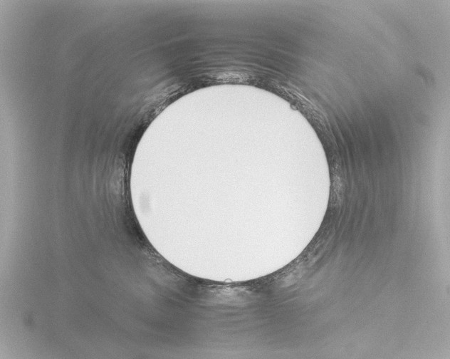 X0000115500379200912181429