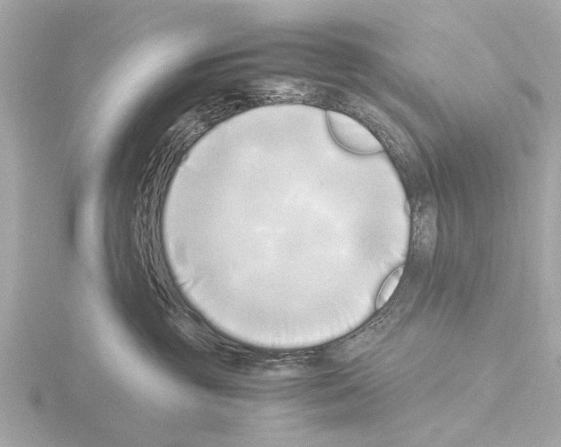 X0000115500381200912181429