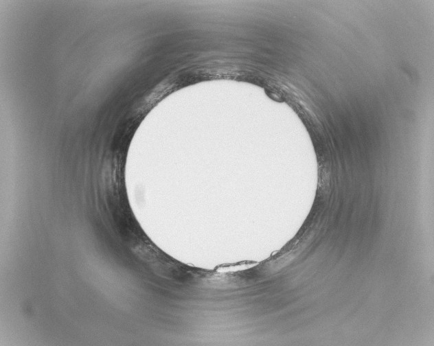 X0000115500382200912181429