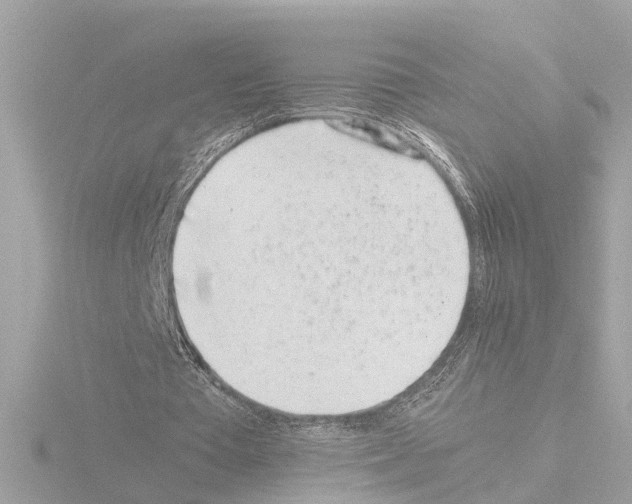 X0000115500385200912181428