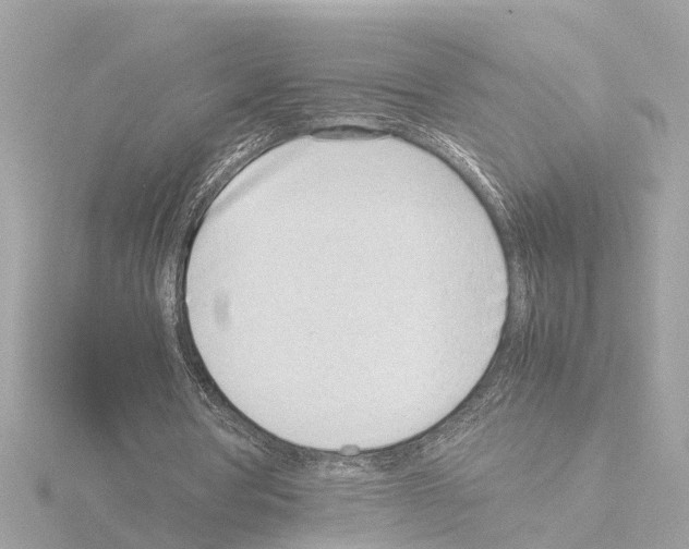 X0000115500386200912181428