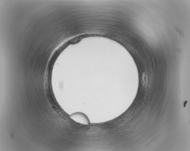 X0000115500388200912181428