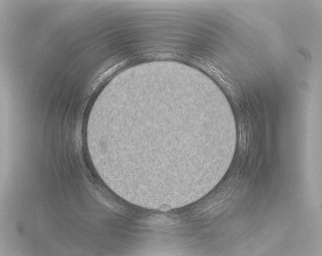 X0000115500390200912181428