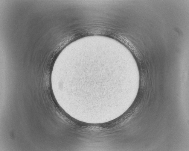 X0000115500393200912181428