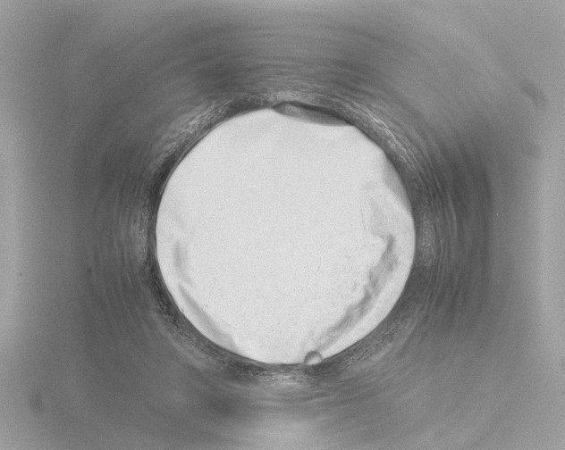 X0000115500402200912181428