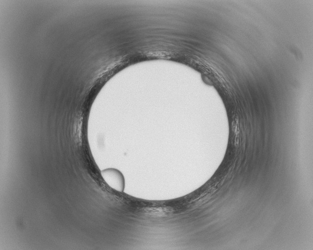 X0000115500404200912181428