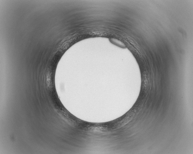 X0000115500408200912181428