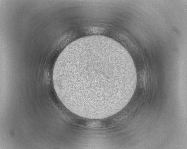 X0000115500410200912181428
