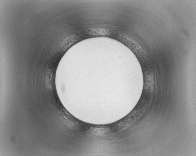 X0000115500414200912181428