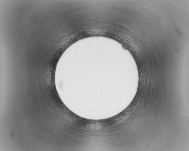 X0000115500416200912181428