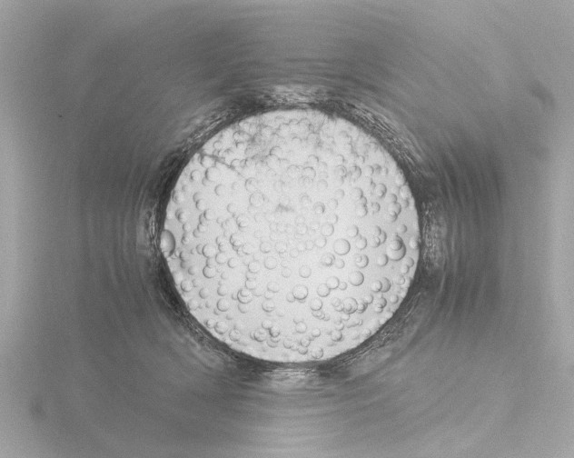 X0000115500418200912181428