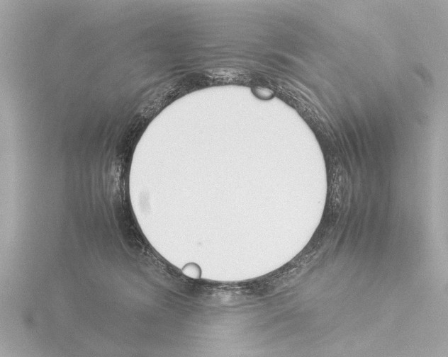 X0000115500420200912181428