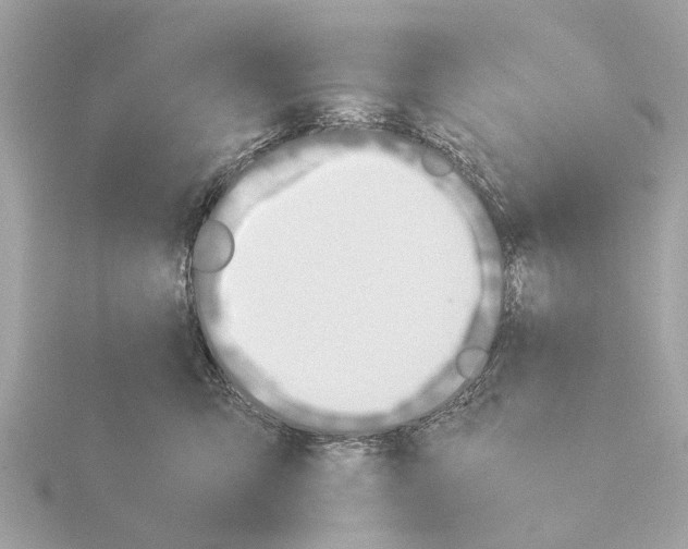 X0000115500423200912181428