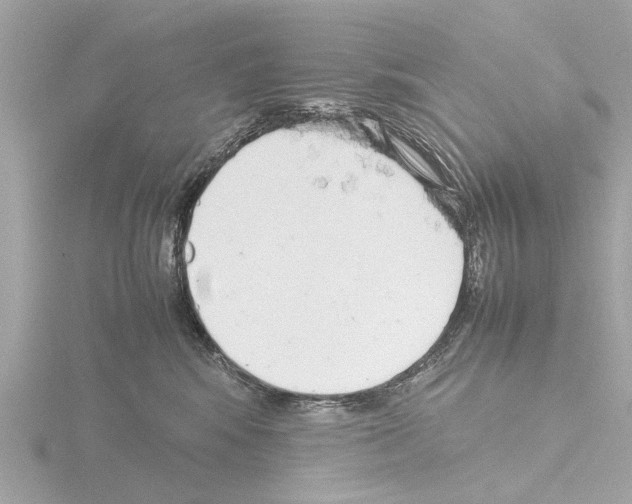 X0000115500424200912181428