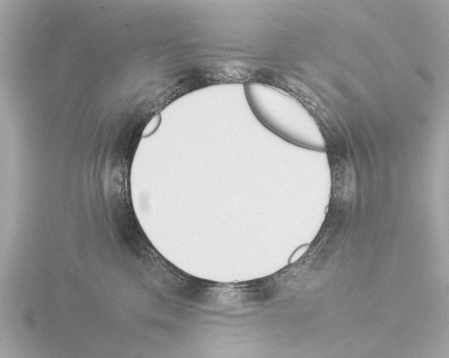 X0000115500425200912181428