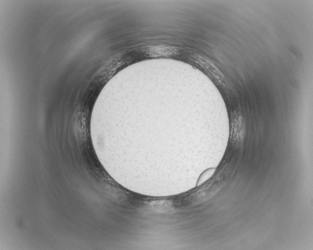 X0000115500426200912181428