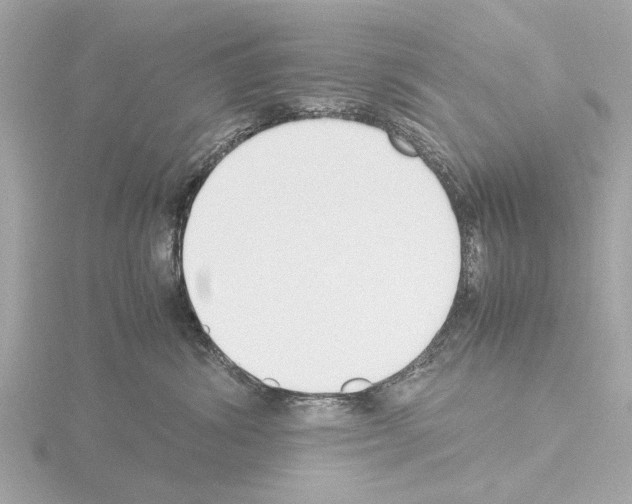 X0000115500428200912181428