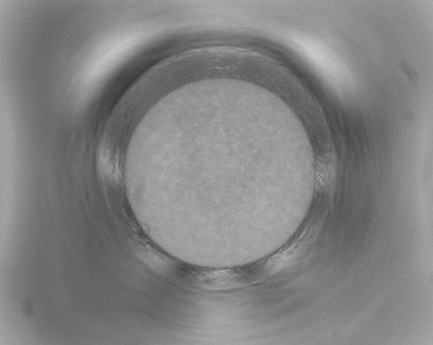 X0000115500431200912181428