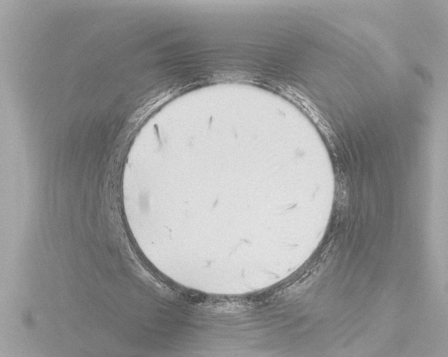 X0000115500433200912181427
