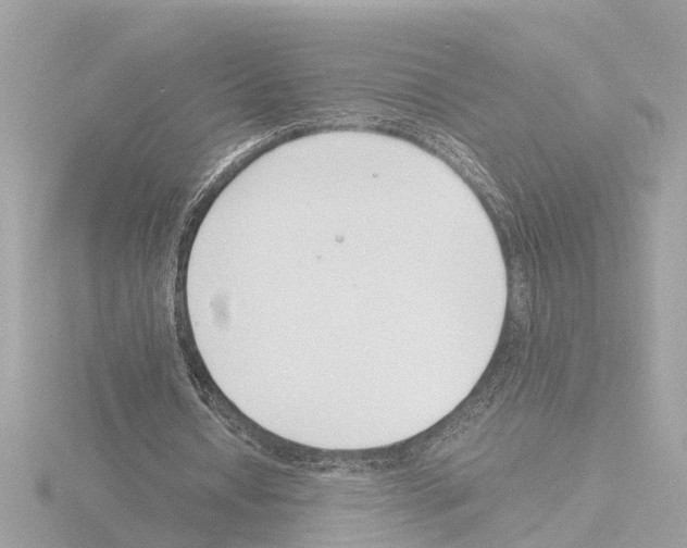X0000115500434200912181427