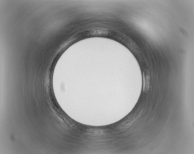 X0000115500435200912181427