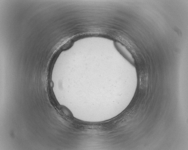X0000115500436200912181427