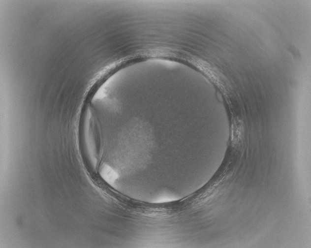 X0000115500438200912181427
