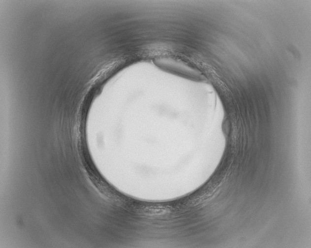 X0000115500443200912181427