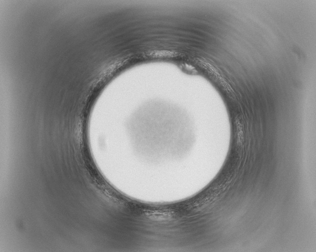X0000115500447200912181427
