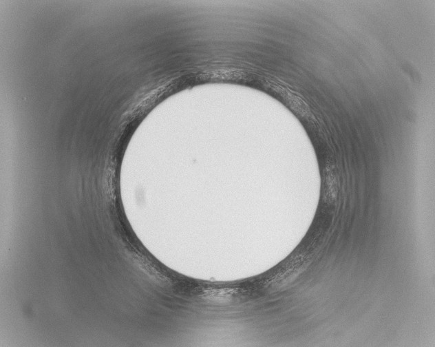X0000115500450200912181427