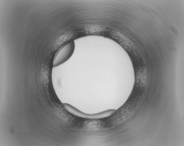 X0000115500452200912181427