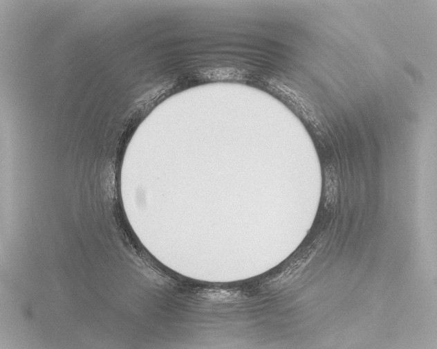 X0000115500453200912181427