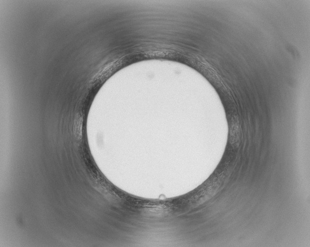 X0000115500454200912181427