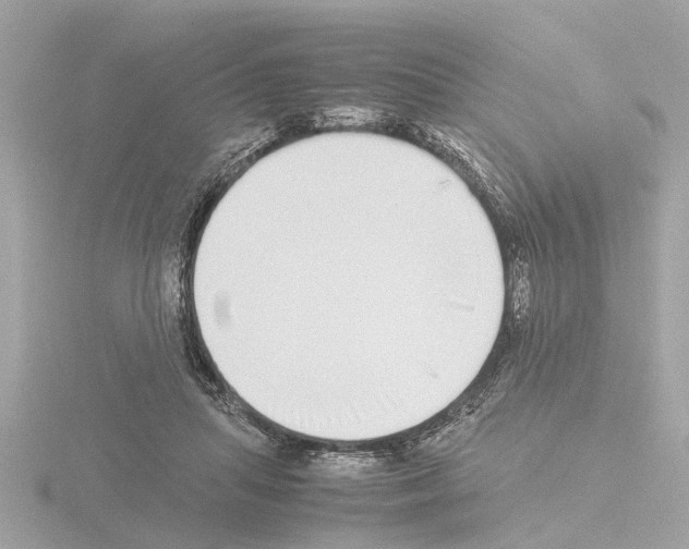 X0000115500455200912181427