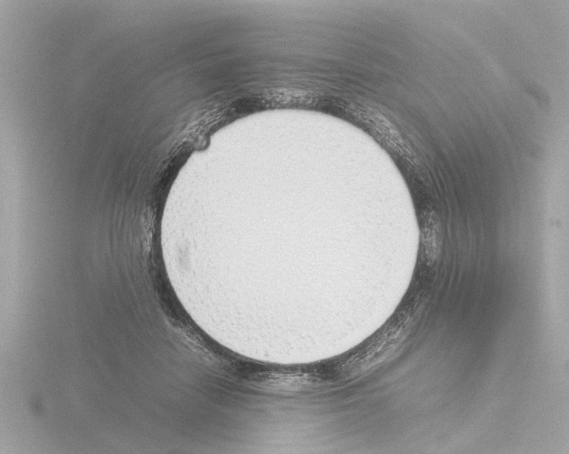 X0000115500458200912181427