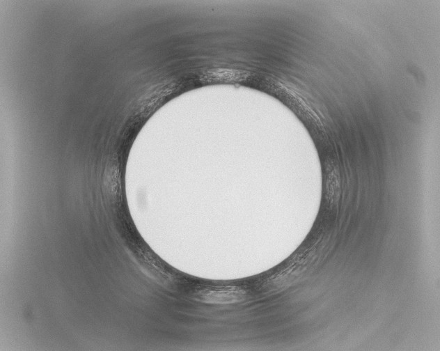 X0000115500459200912181428