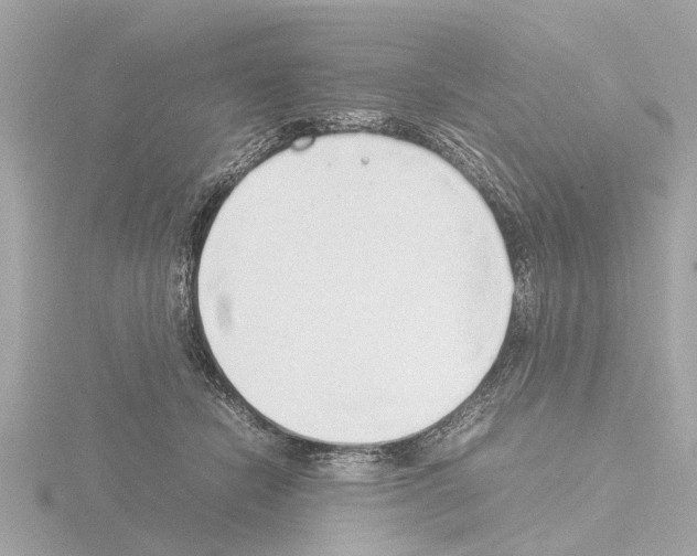 X0000115500462200912181428
