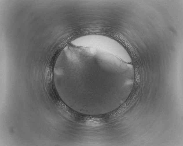 X0000115500471200912181428