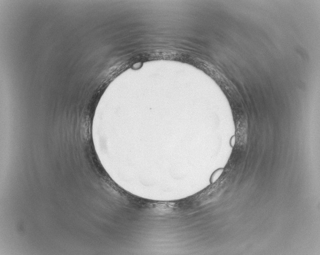 X0000115500474200912181428