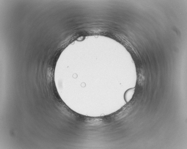 X0000115500476200912181428