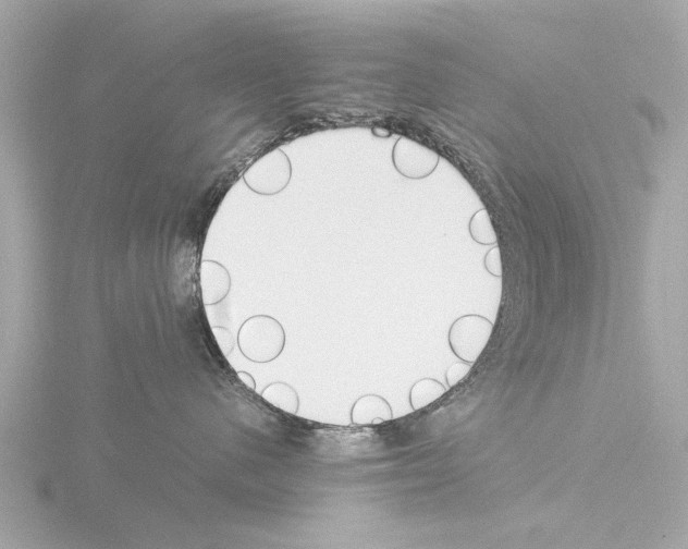 X0000115500480200912181428